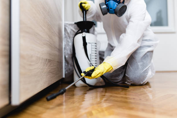 Best Termite Control Services  in Hahira, GA
