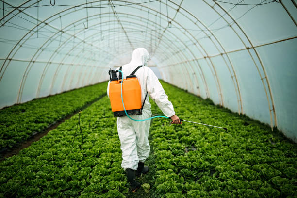Best Affordable Pest Control Services  in Hahira, GA