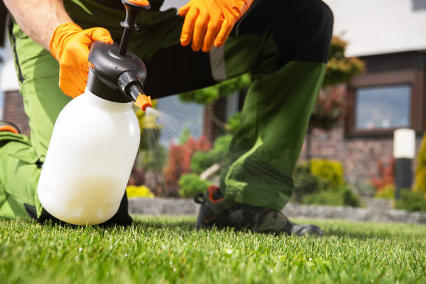 Reliable Hahira, GA Pest Control Solutions