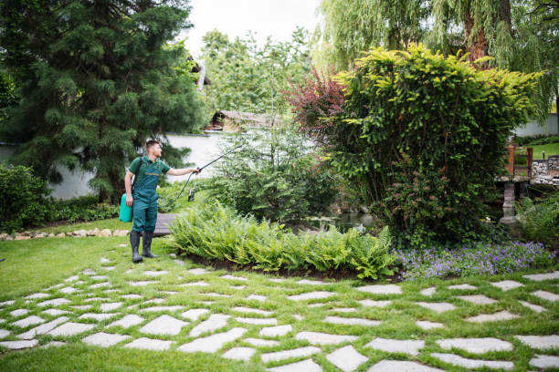 Best Ant Control Services  in Hahira, GA