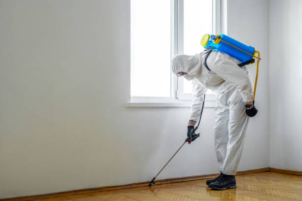 Best Wasp Removal Services  in Hahira, GA