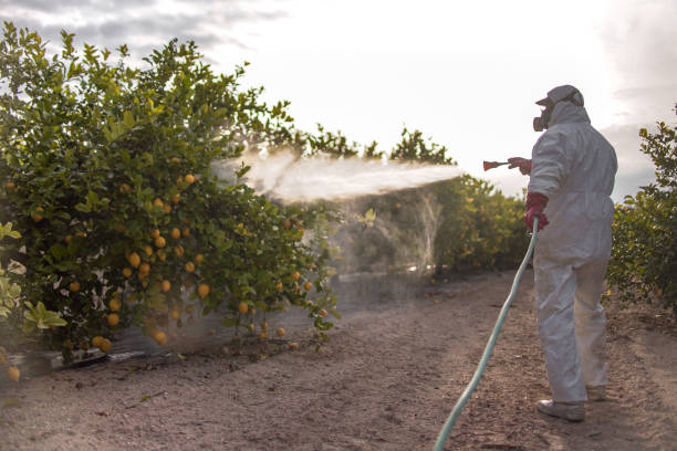Best Wildlife Control Services  in Hahira, GA
