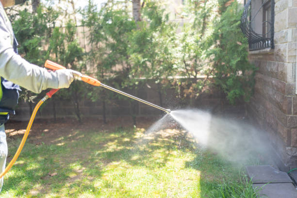 Best Spider Control Near Me  in Hahira, GA