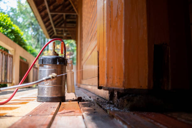 Best Best Pest Control Companies  in Hahira, GA