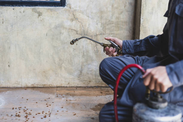 Best Pest Inspection Near Me  in Hahira, GA